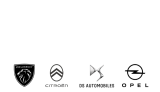 Micheletti